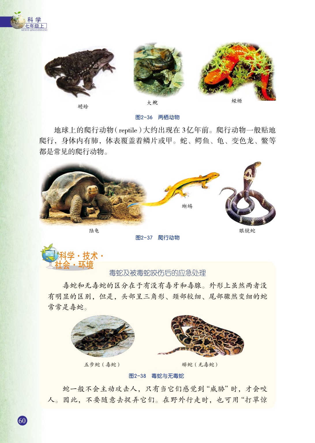 浙教版七年级上册科学第4节  常见的动物第4页