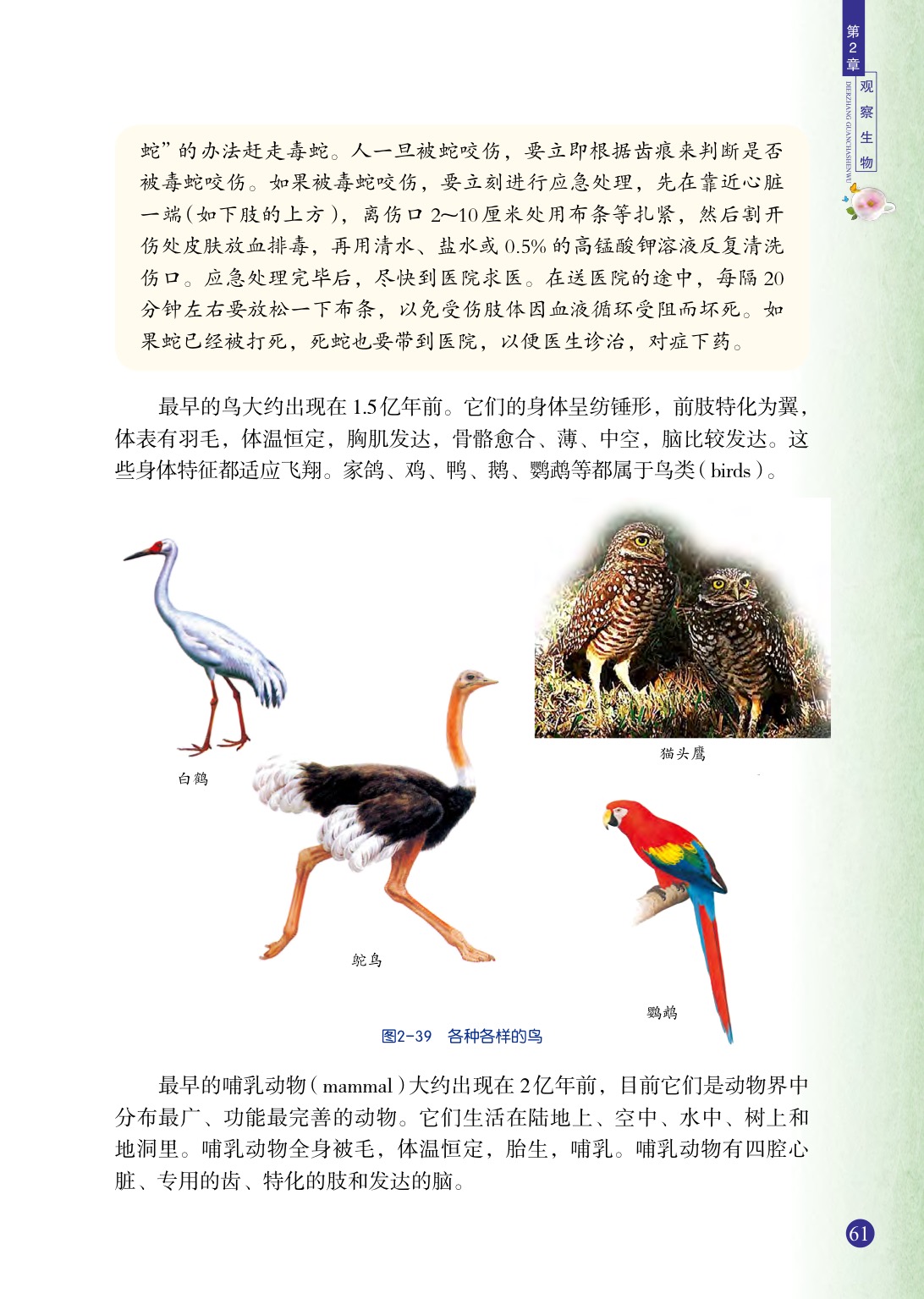 浙教版七年级上册科学第4节  常见的动物第5页