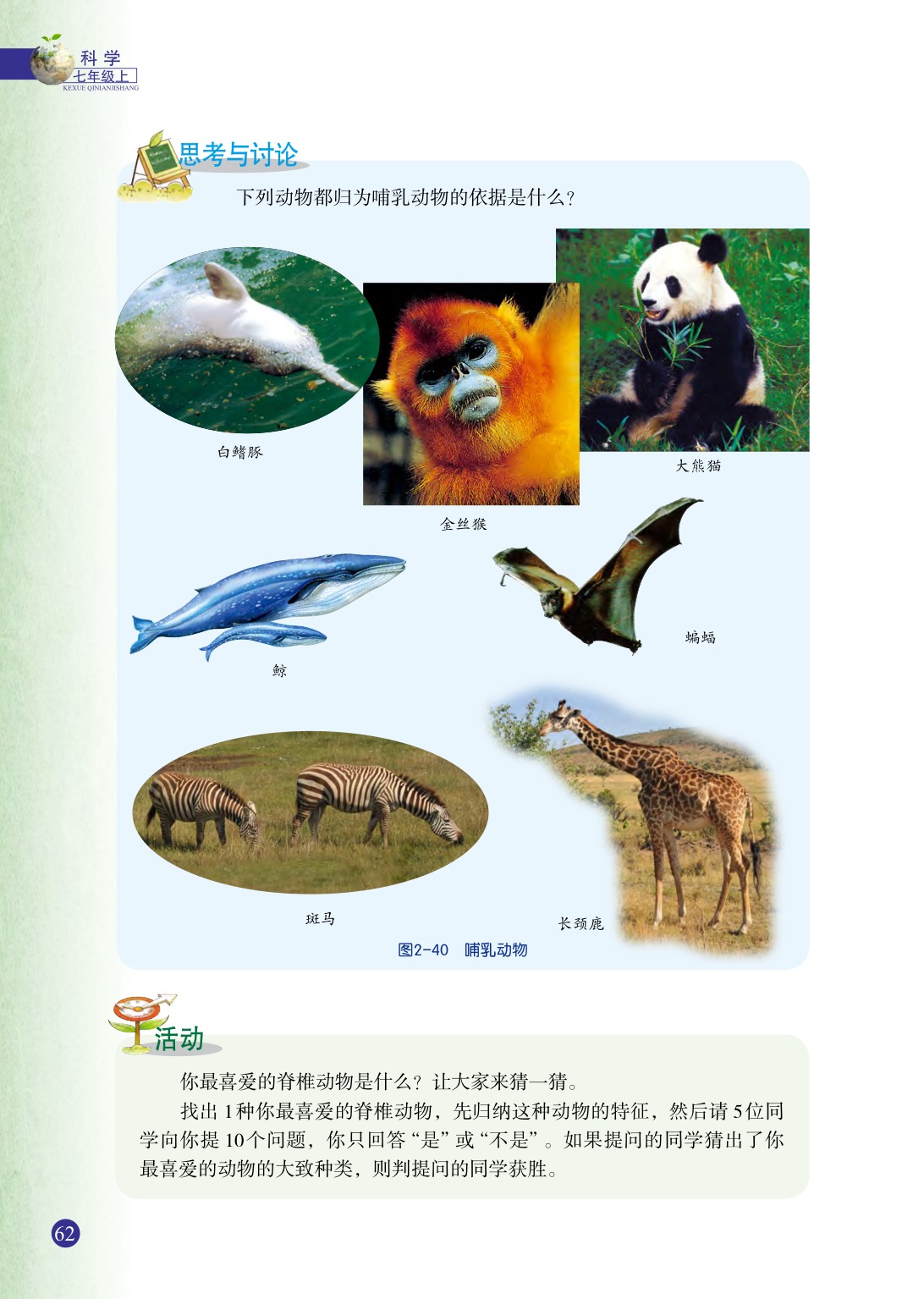 浙教版七年级上册科学第4节  常见的动物第6页