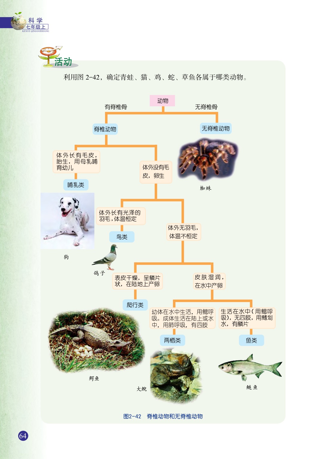 浙教版七年级上册科学第4节  常见的动物第8页