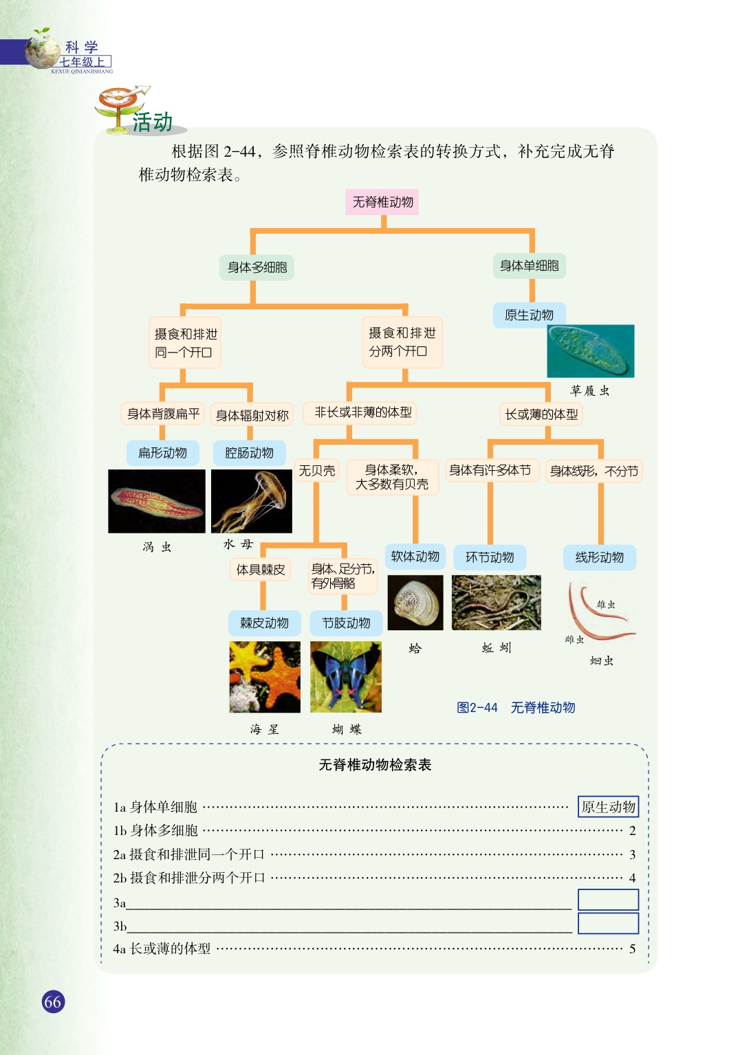 浙教版七年级上册科学第4节  常见的动物第10页