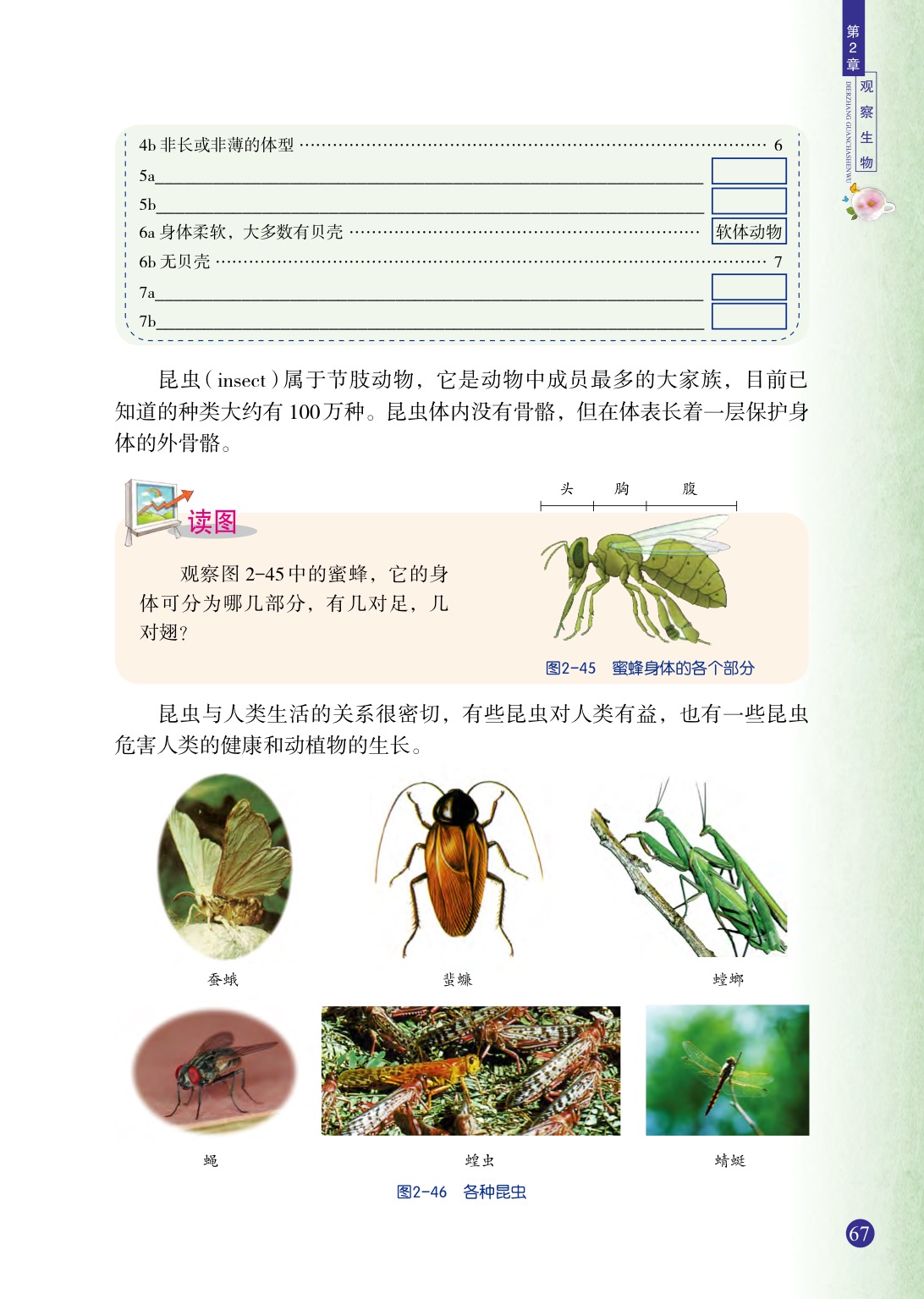 浙教版七年级上册科学第4节  常见的动物第11页