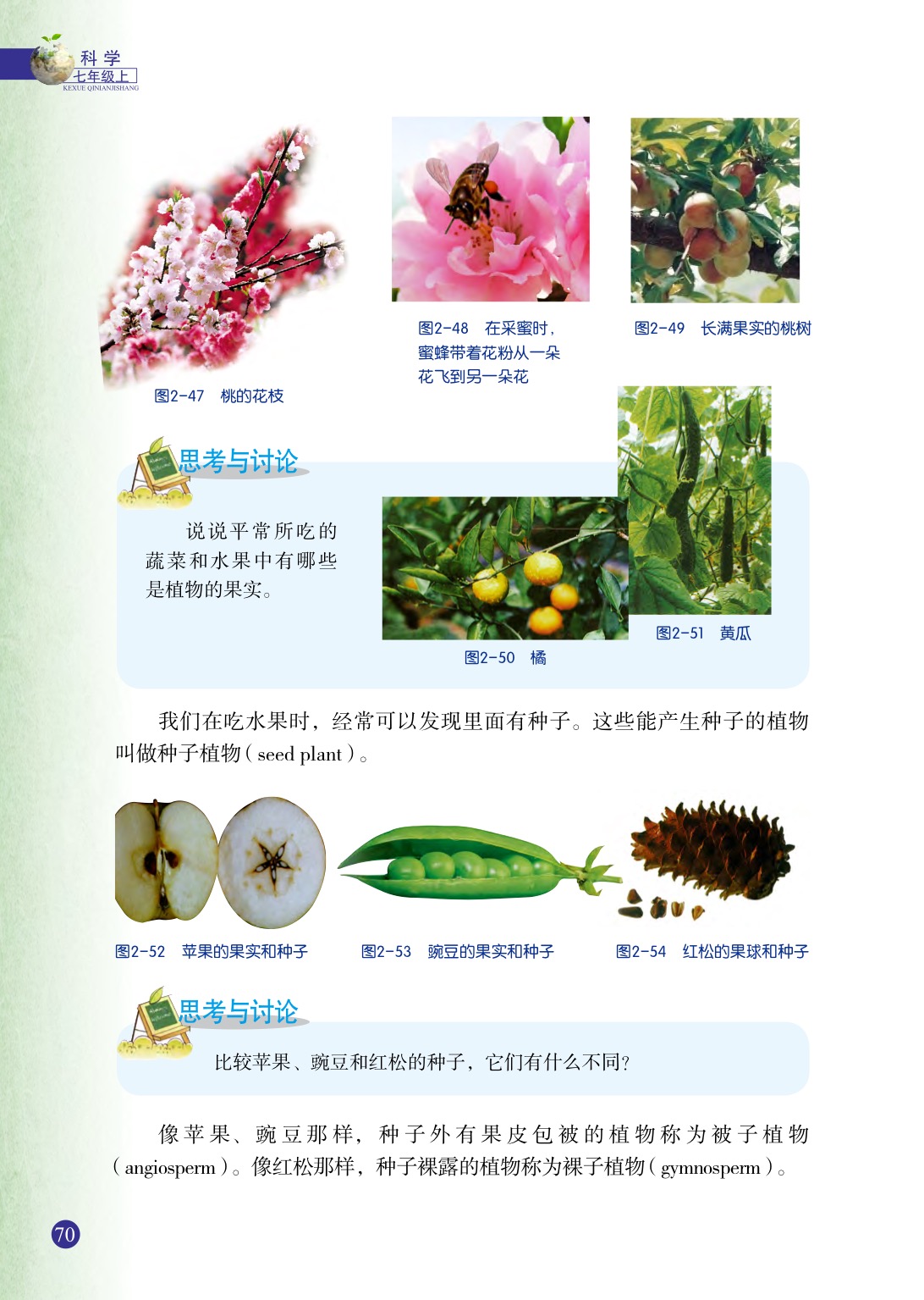 浙教版七年级上册科学第5节  常见的植物第1页