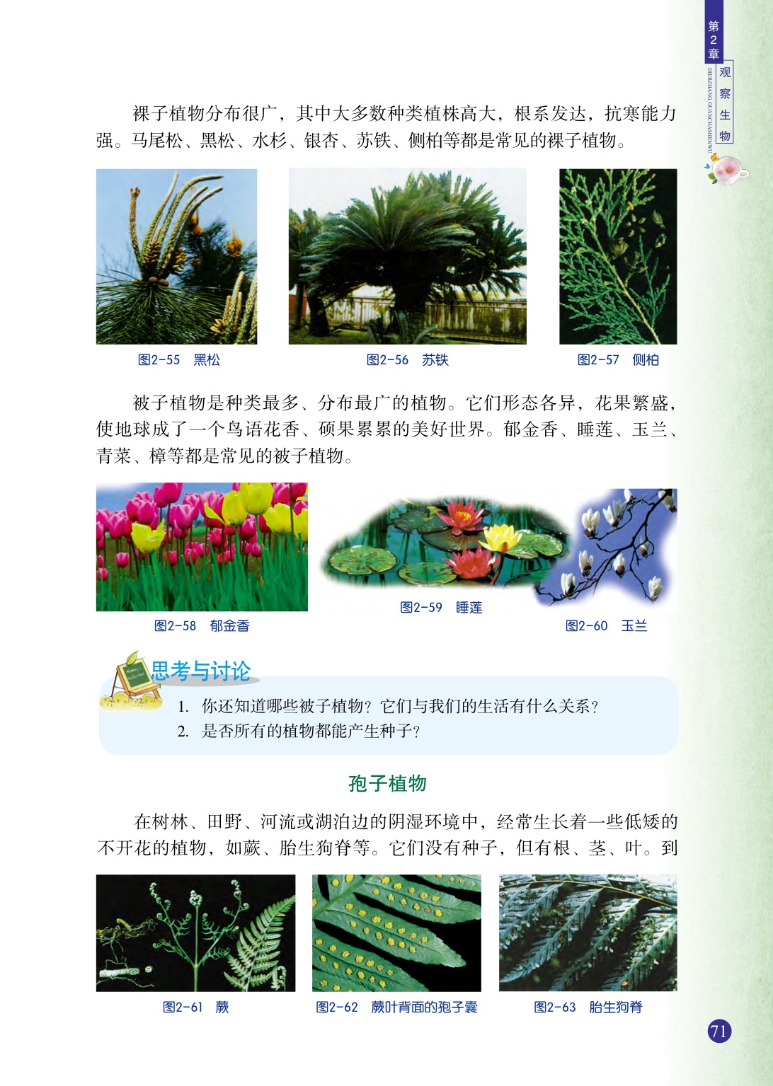 浙教版七年级上册科学第5节  常见的植物第2页