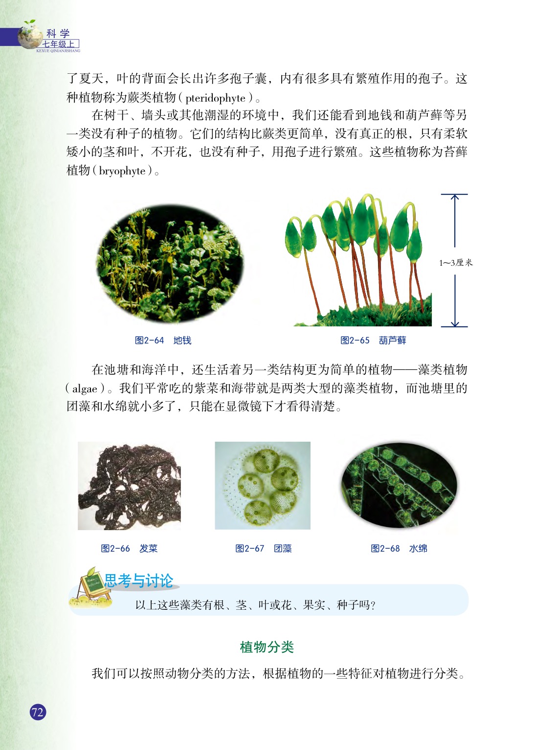 浙教版七年级上册科学第5节  常见的植物第3页