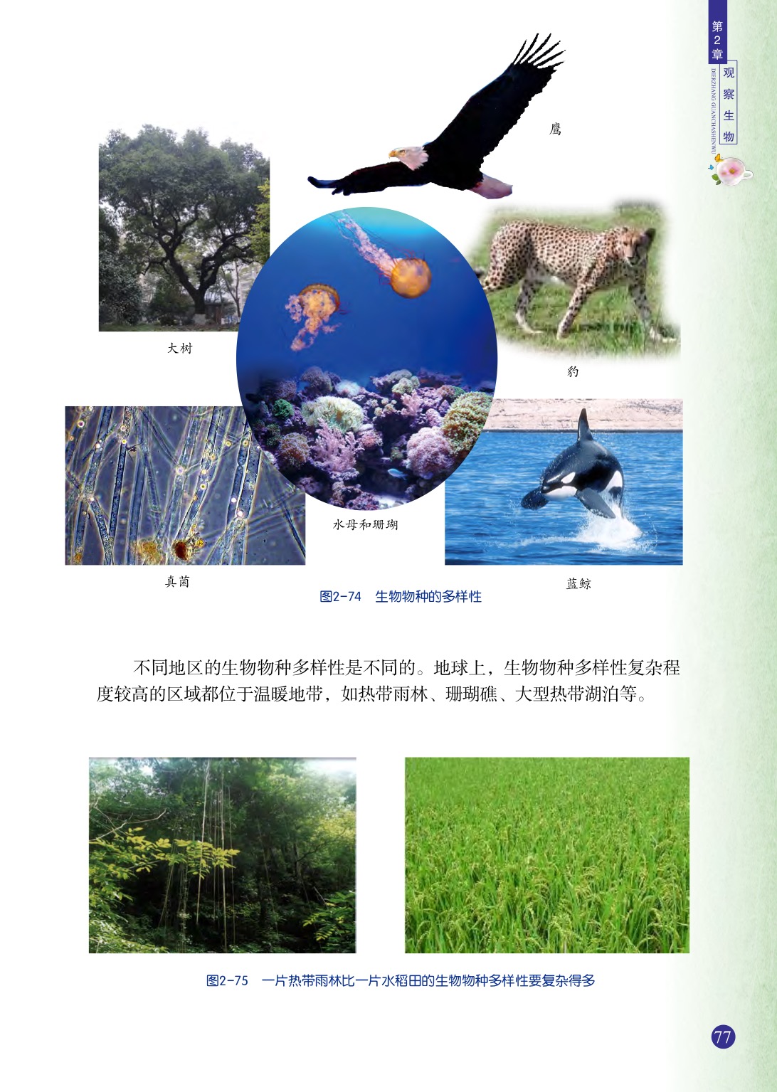 浙教版七年级上册科学第6节  物种的多样性第3页