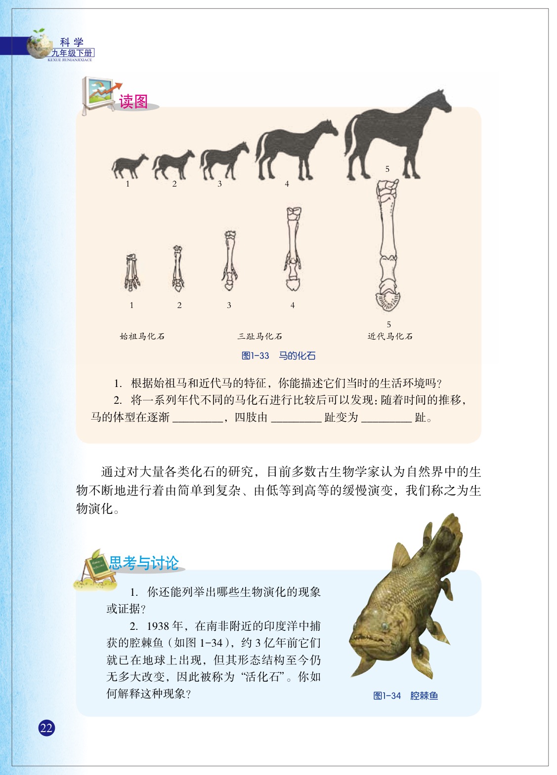浙教版九年级下册科学4 生物的进化第2页