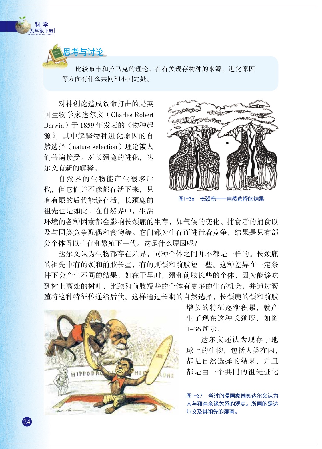 浙教版九年级下册科学4 生物的进化第4页