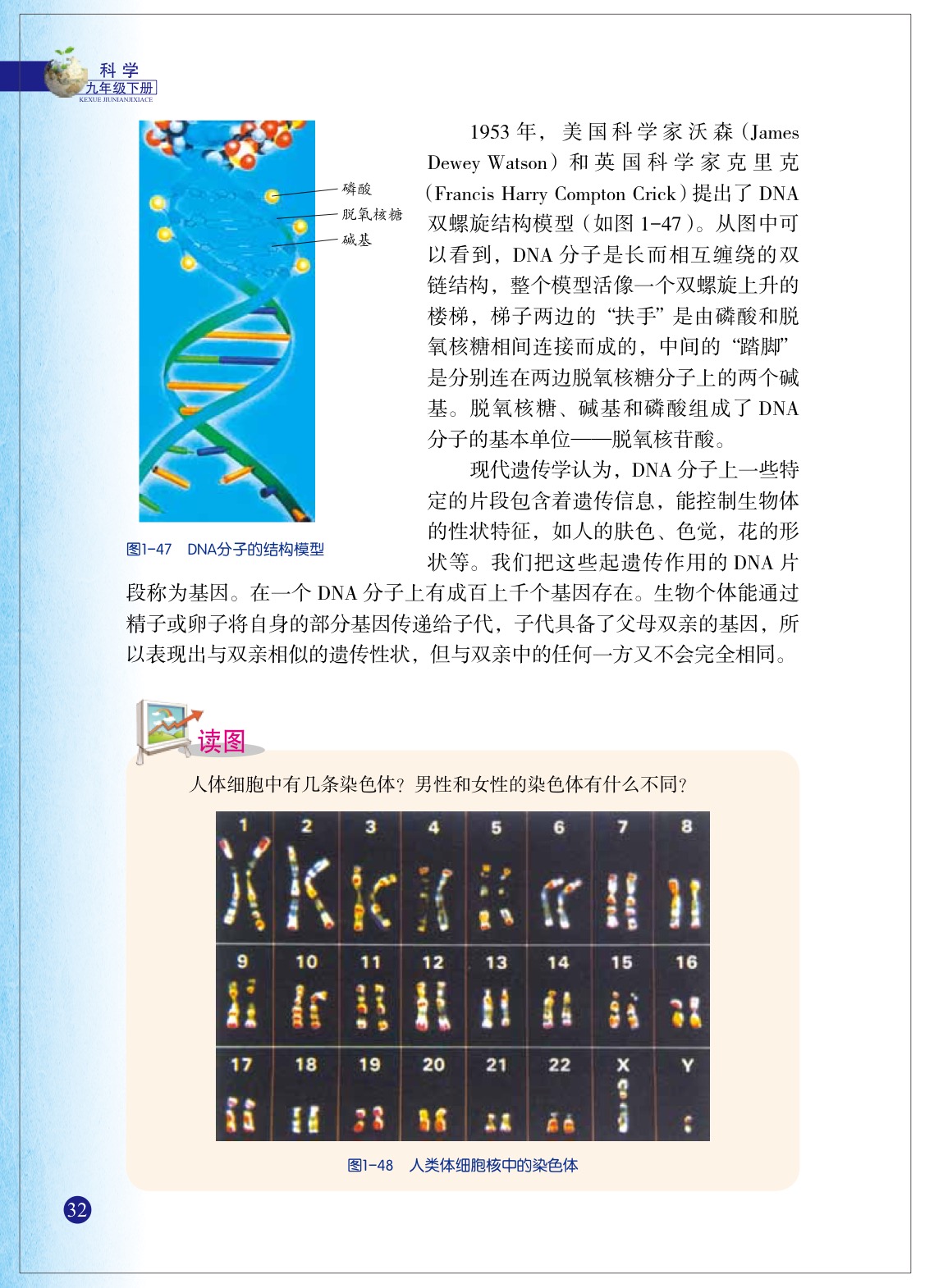 浙教版九年级下册科学5 遗传与进化第2页