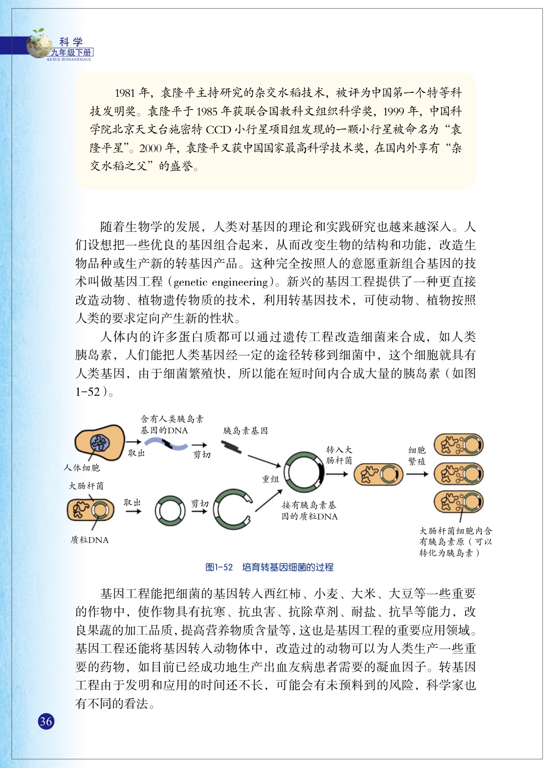 浙教版九年级下册科学5 遗传与进化第6页