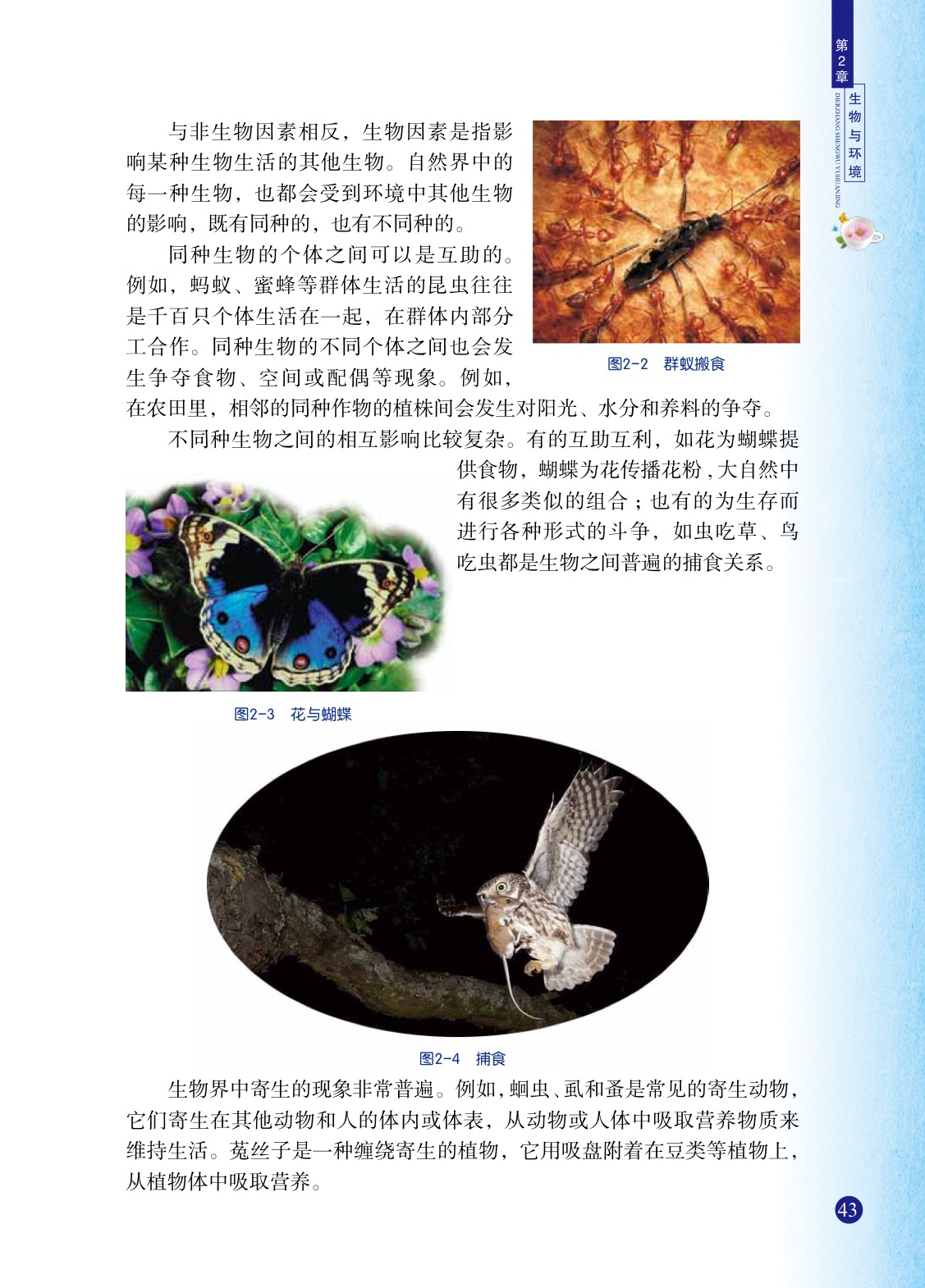 浙教版九年级下册科学1 生物与环境的相互关系第1页