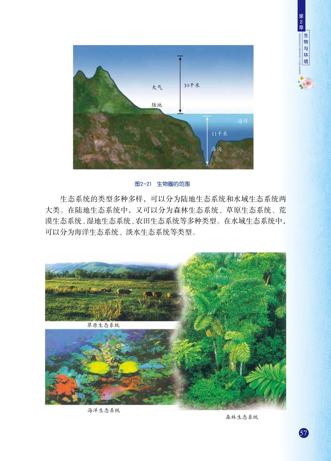 浙教版九年级下册科学4 生态系统的结构和功能第1页