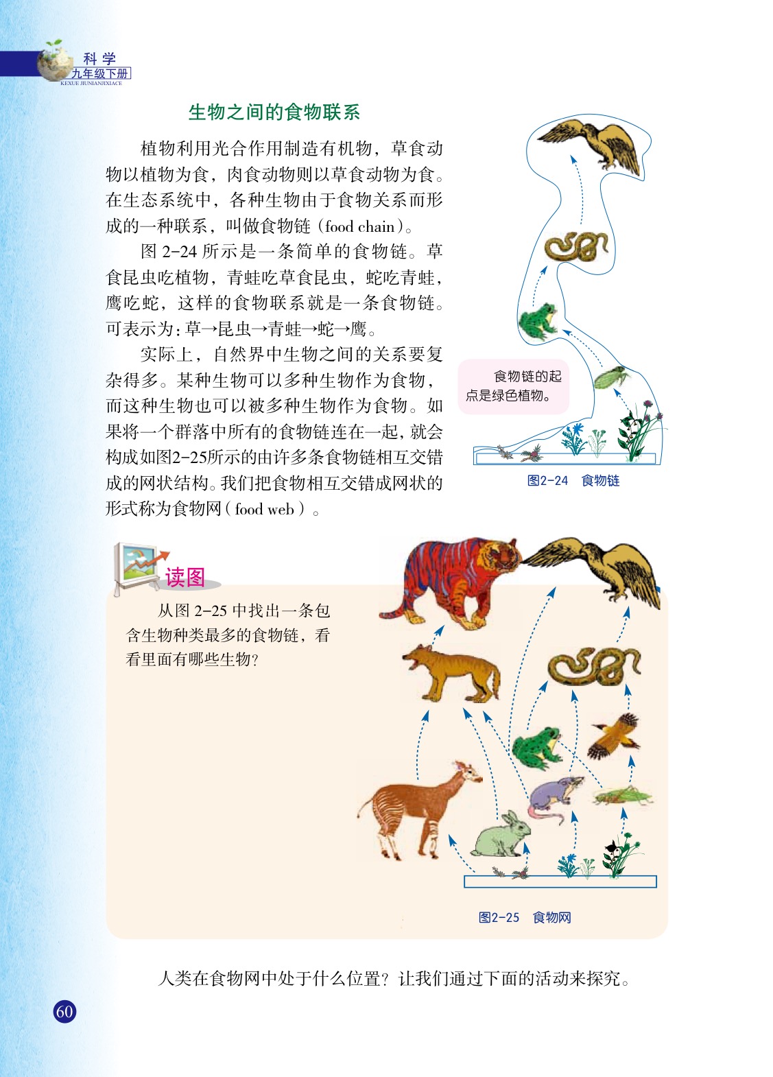 浙教版九年级下册科学4 生态系统的结构和功能第4页