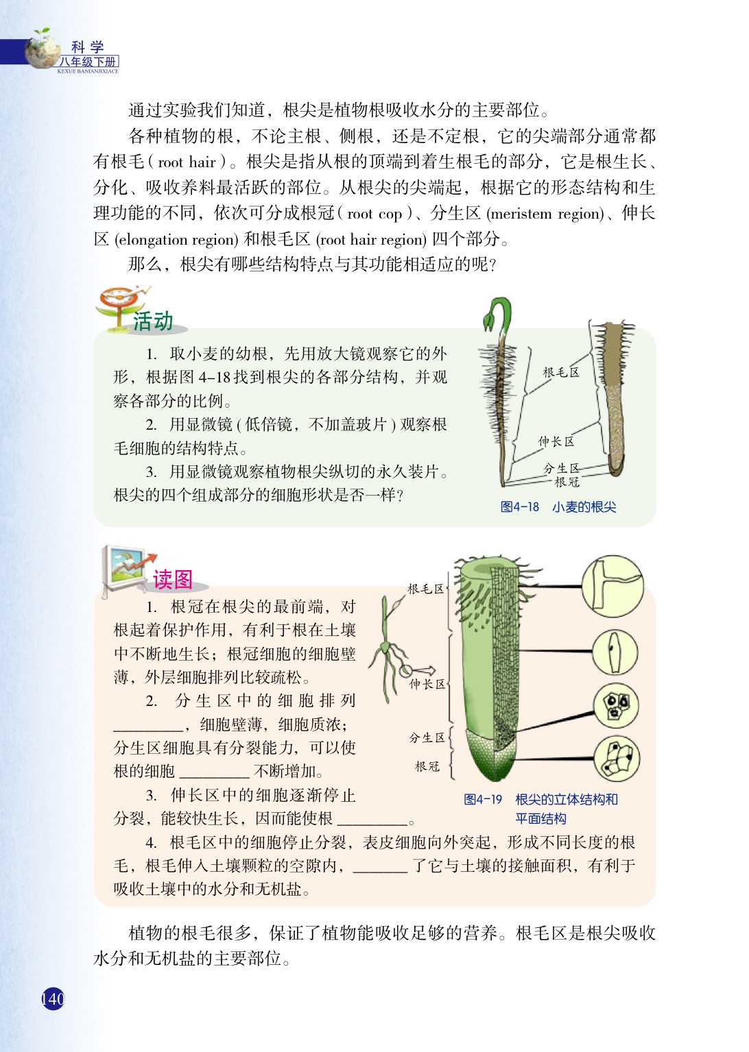 浙教版八年级下册科学3 植物的根与物质吸收第2页