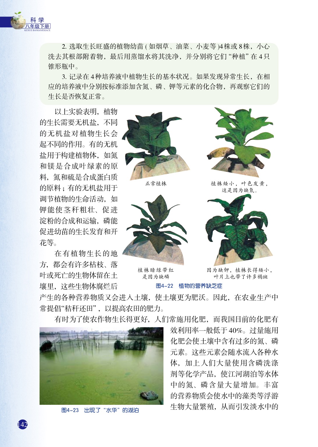 浙教版八年级下册科学3 植物的根与物质吸收第4页