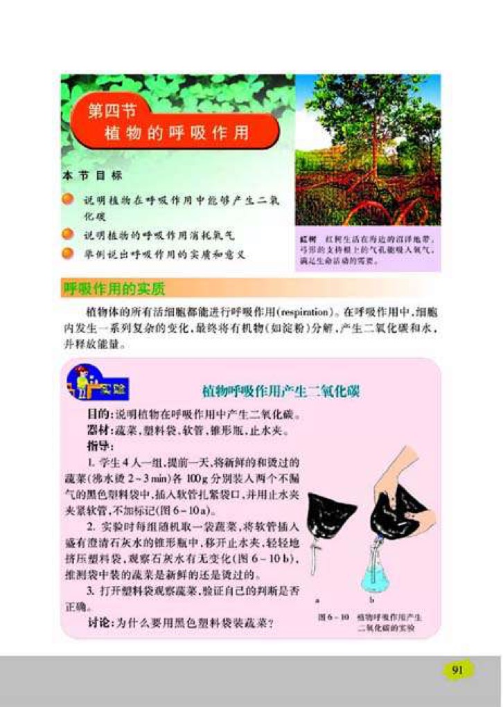 苏教版七年级上册生物4、植物的呼吸作用第0页