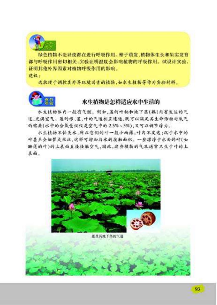 苏教版七年级上册生物4、植物的呼吸作用第2页