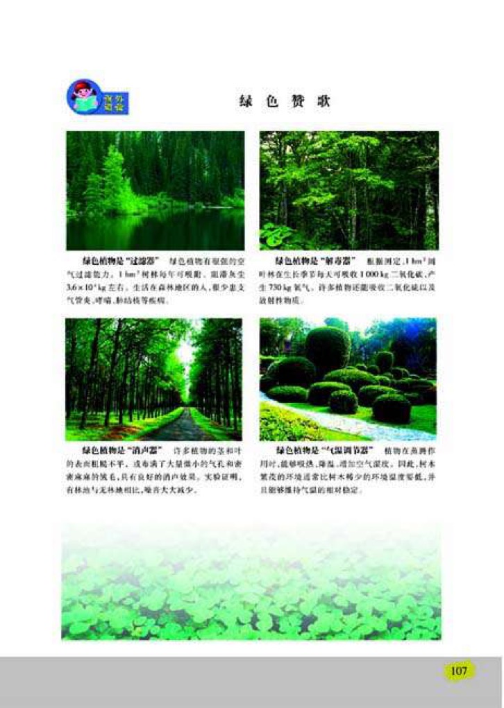 苏教版七年级上册生物2、绿色植物与生物圈的物质循环第4页