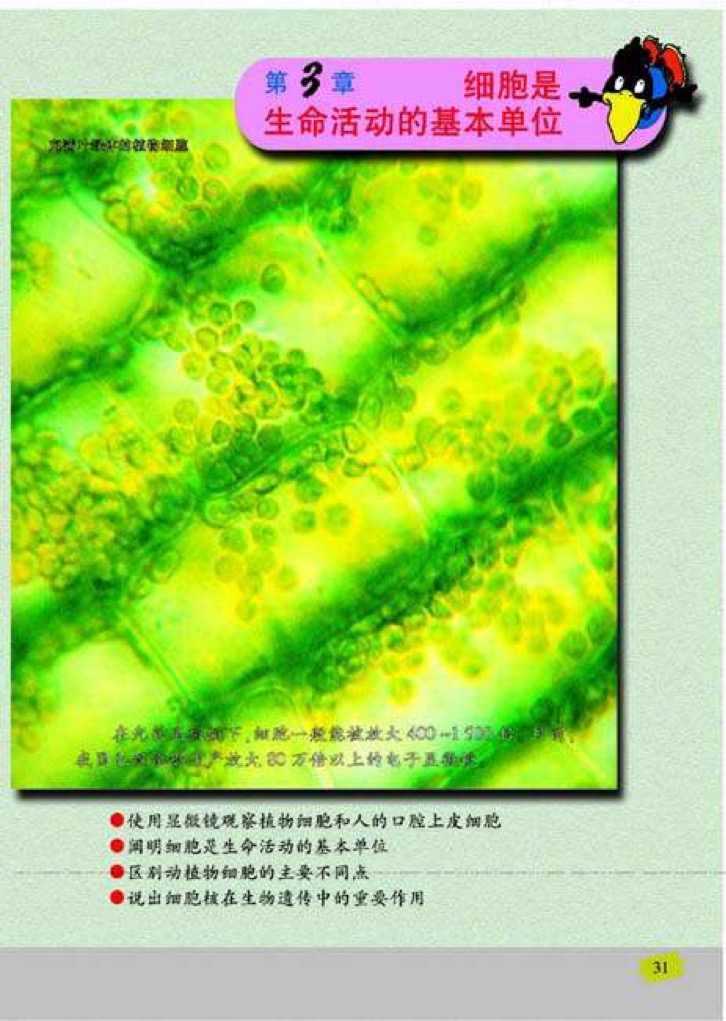 苏教版七年级上册生物第三章 细胞是生命活动的基本单位第1页