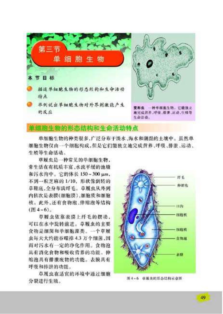 苏教版七年级上册生物3、单细胞生物第0页