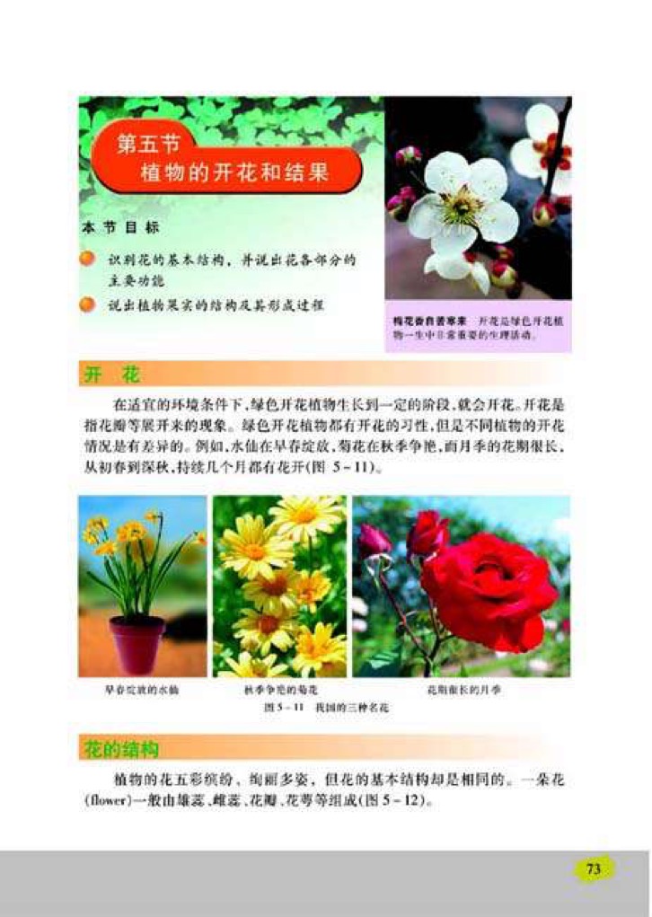 苏教版七年级上册生物5、植物的开花和结果第0页